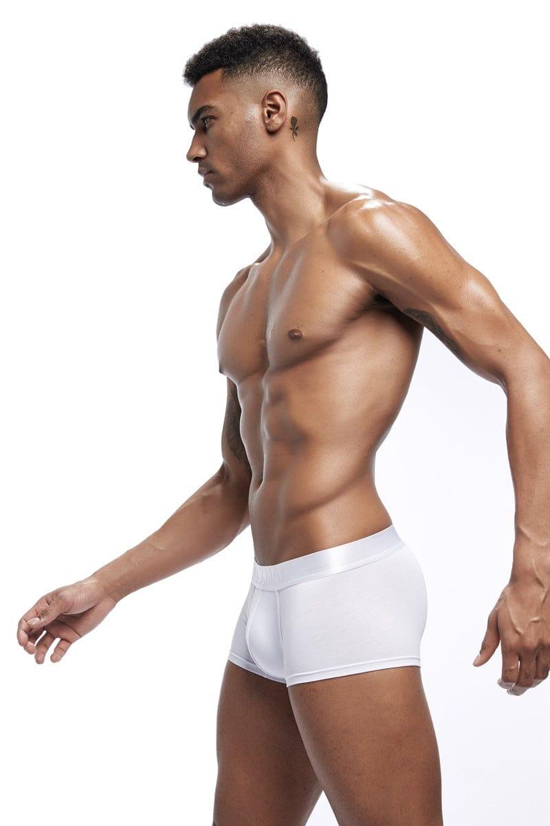 prince-wear popular products JOCKMAIL | Core Low Rise Boxer