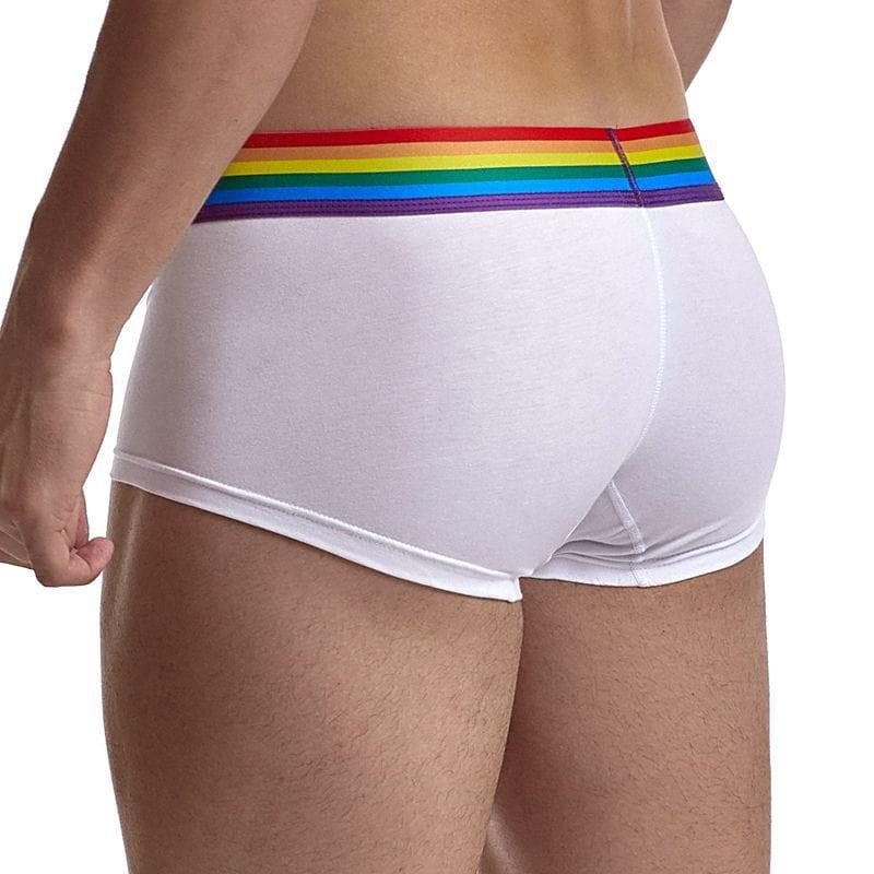 prince-wear JOCKMAIL | Pride Boxer