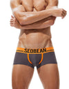 Daily wear|Summer lounging|Gym sessions|Pride events|Beachwear|Breathable|Lightweight|Mesh fabric|Coolness|Ventilation|Comfort|Minimal coverage|Men's trunks|Low-rise underwear|Mesh trunks|Sexy mesh underwear|Coffee|Front view