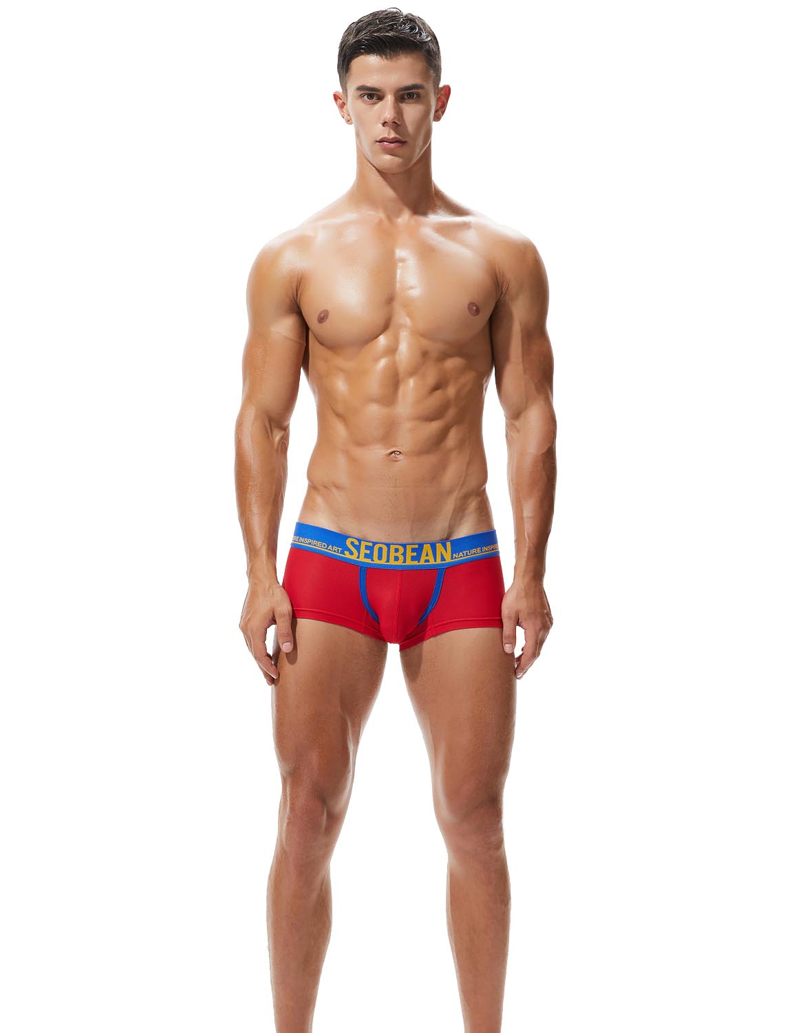 Daily wear|Summer lounging|Gym sessions|Pride events|Beachwear|Breathable|Lightweight|Mesh fabric|Coolness|Ventilation|Comfort|Minimal coverage|Men's trunks|Low-rise underwear|Mesh trunks|Sexy mesh underwear|Red|Front view